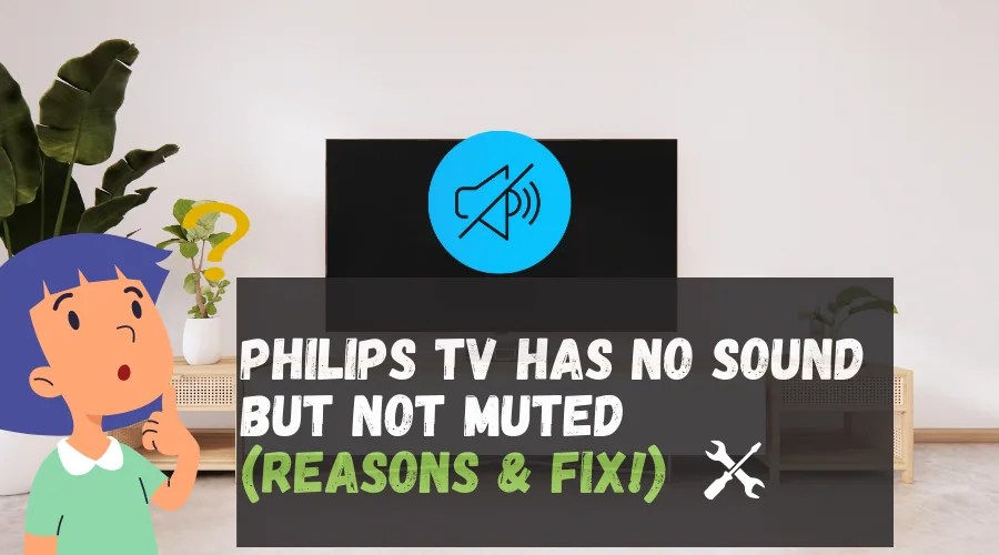 Philips TV has no Sound but Not Muted (Reasons + FIX!)