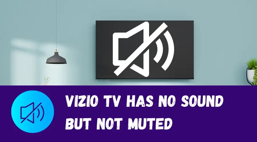 Vizio TV has No Sound But Not Muted(Reasons + FIX!)