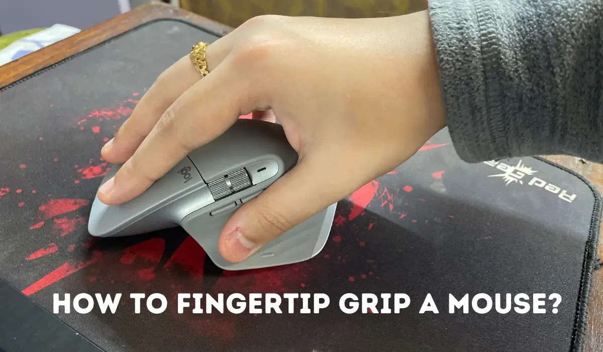 What is Fingertip Grip? How To Fingertip Grip A Mouse?