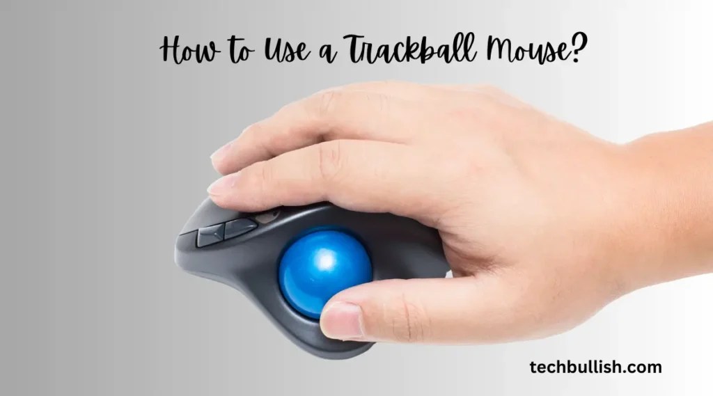 How to Use a Trackball Mouse A StepbyStep Guide