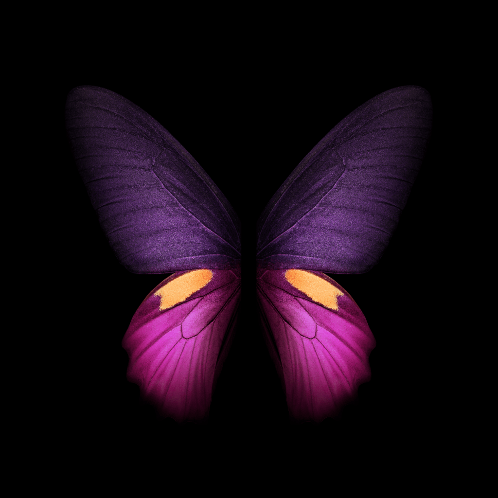 [Download] Samsung Galaxy Fold Wallpapers In High Quality! TechBurner