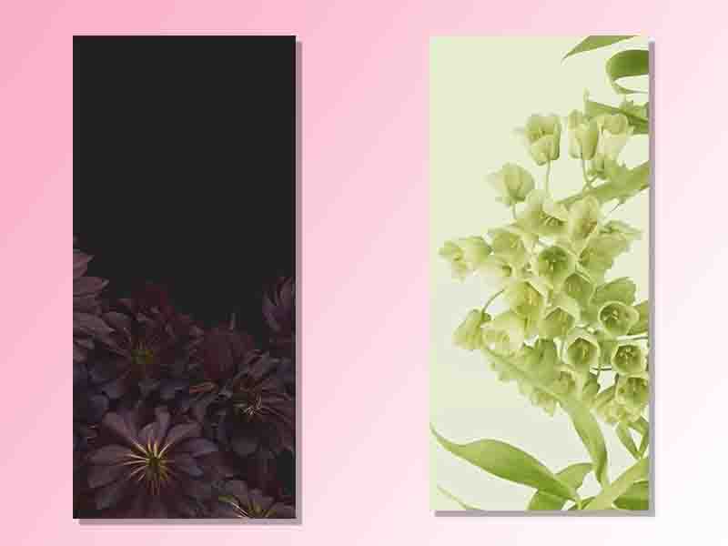 Download Android 12 Wallpapers in HD TechBurner