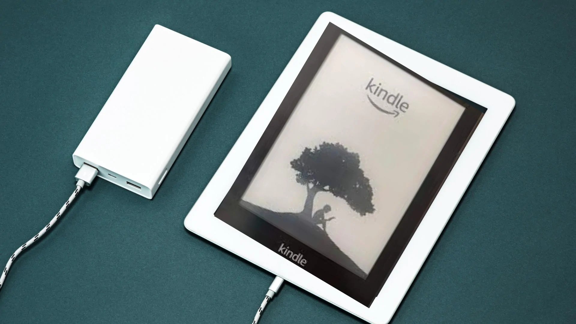 Kindle Paperwhite Stuck on Tree Screen/ Easy Solutions