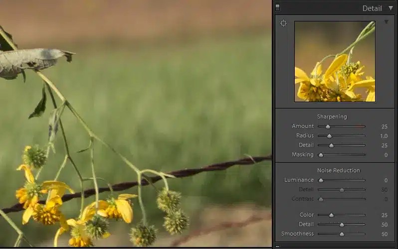 Mastering Image Post Processing A Comprehensive Guide