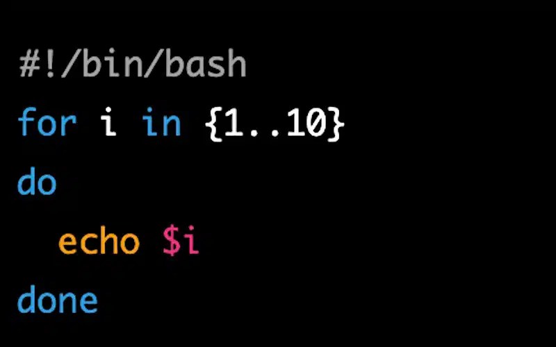 Bash vs Python A HighLevel Overview TechColleague
