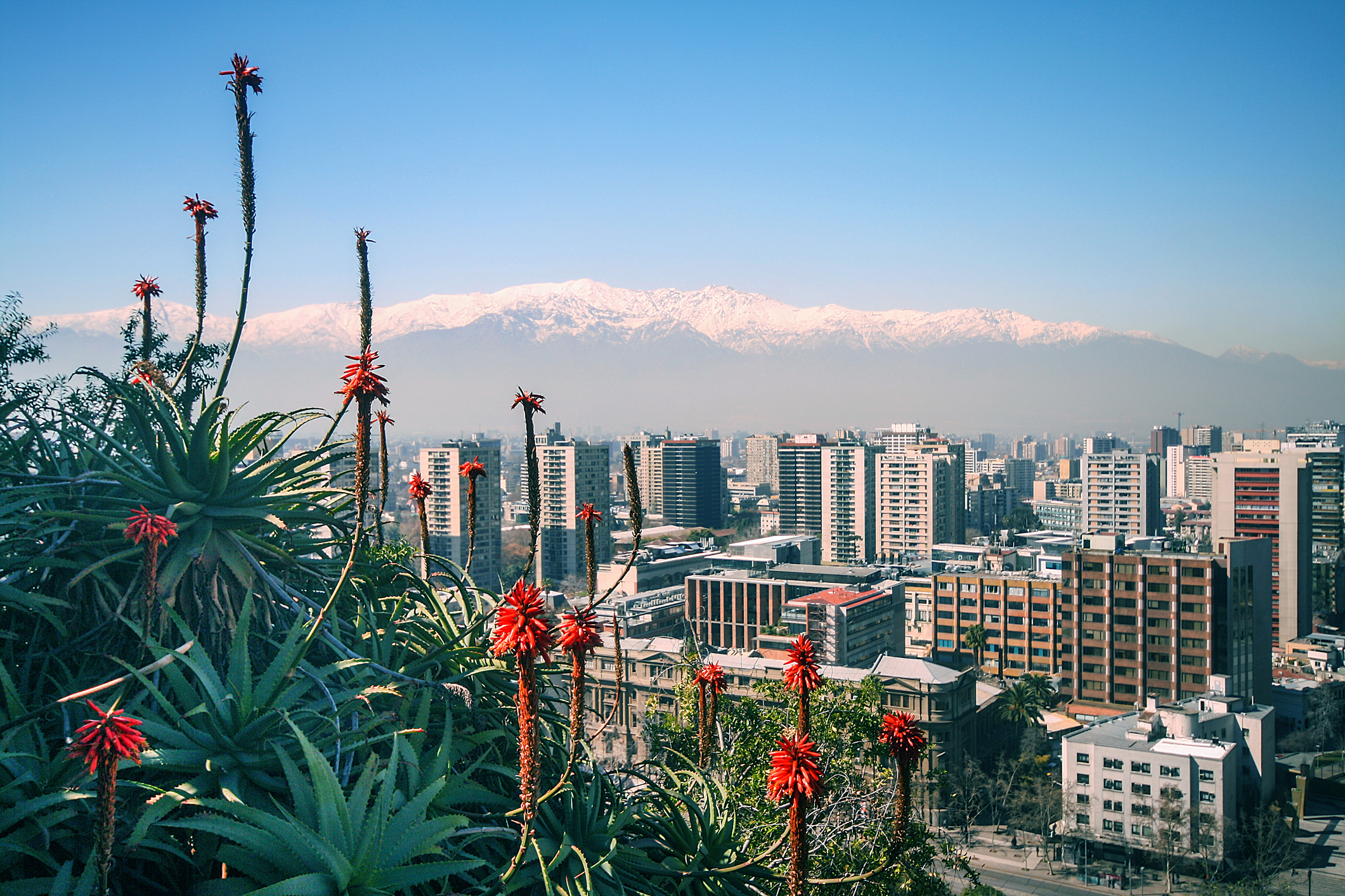 A Look into Chile's innovative startup government TechCrunch