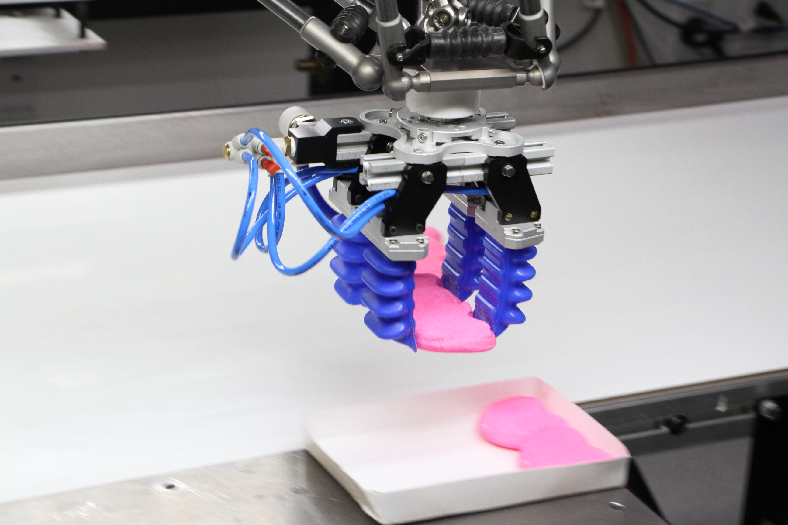 How marine biology inspired Soft Robotics’ industrial grippers TechCrunch