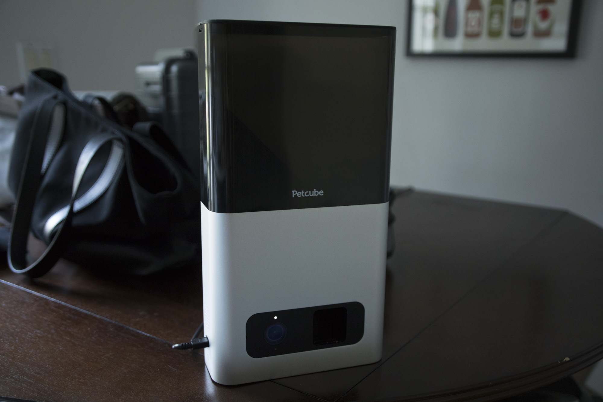 Petcube Bites treat dispensing camera review