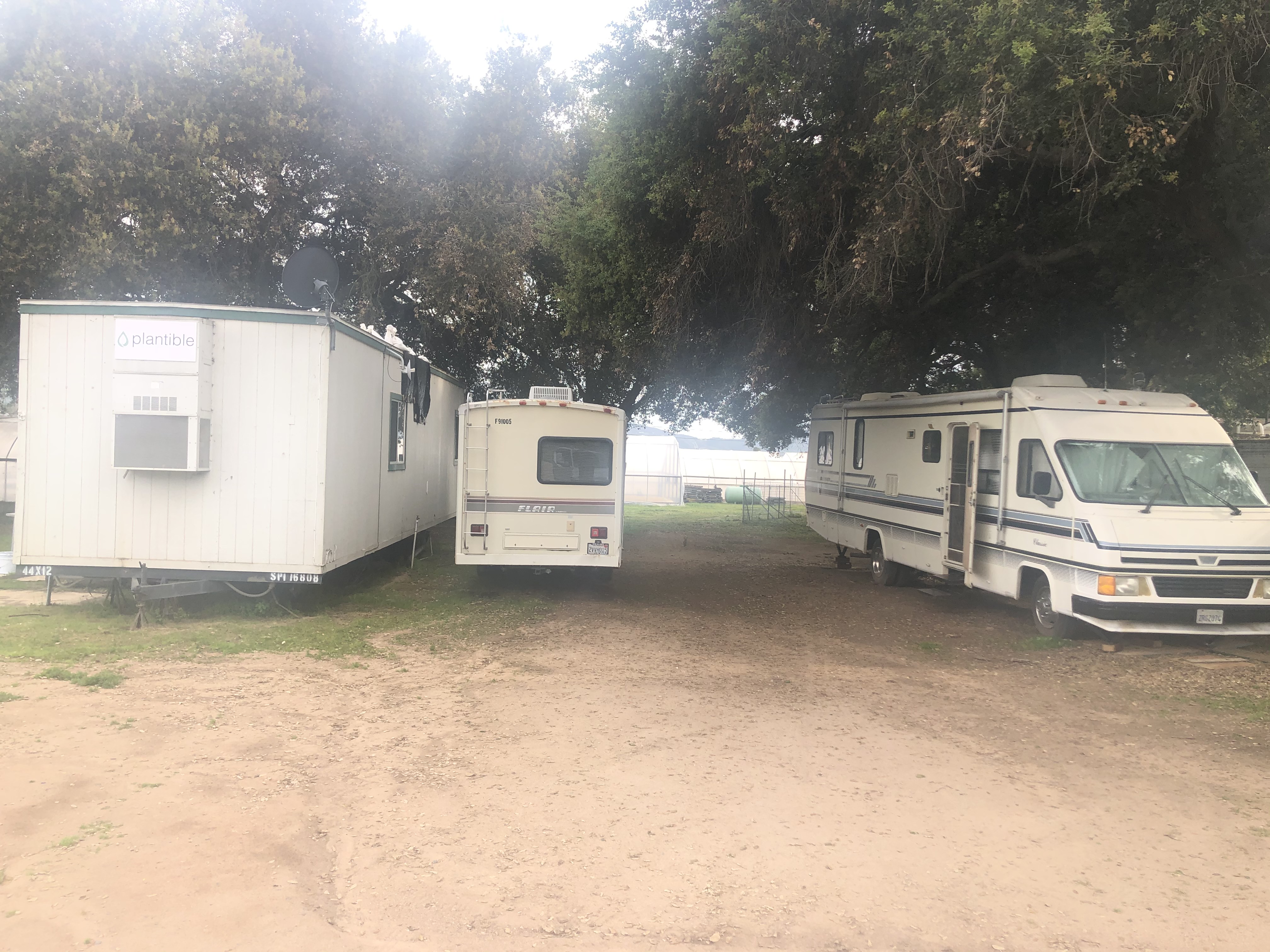 Easy To Copy Roblox Music Id Codes List Searchable soulja boy molly with that lean offical roblox music