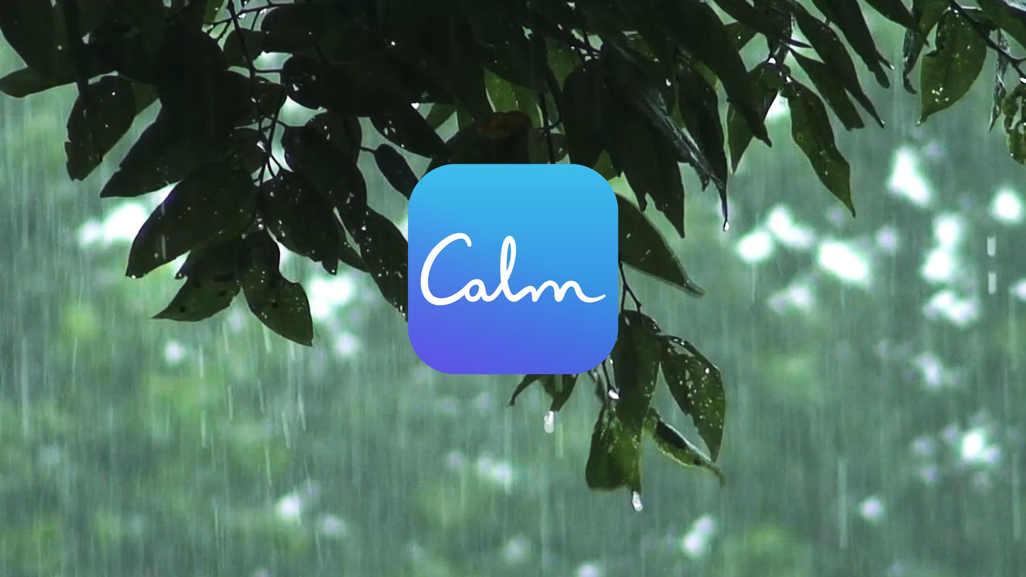 Calm lanza oferta clínica de salud mental, Calm Health » Que Nube