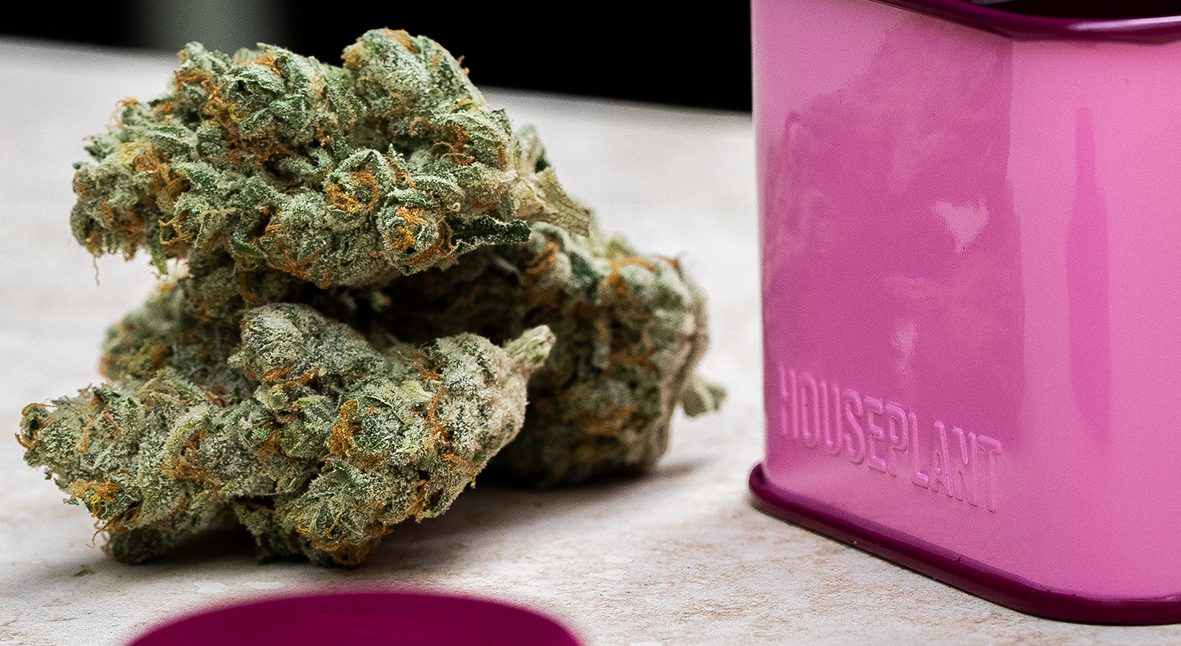 Seth Rogen explains how Houseplant promotes cannabis without breaking