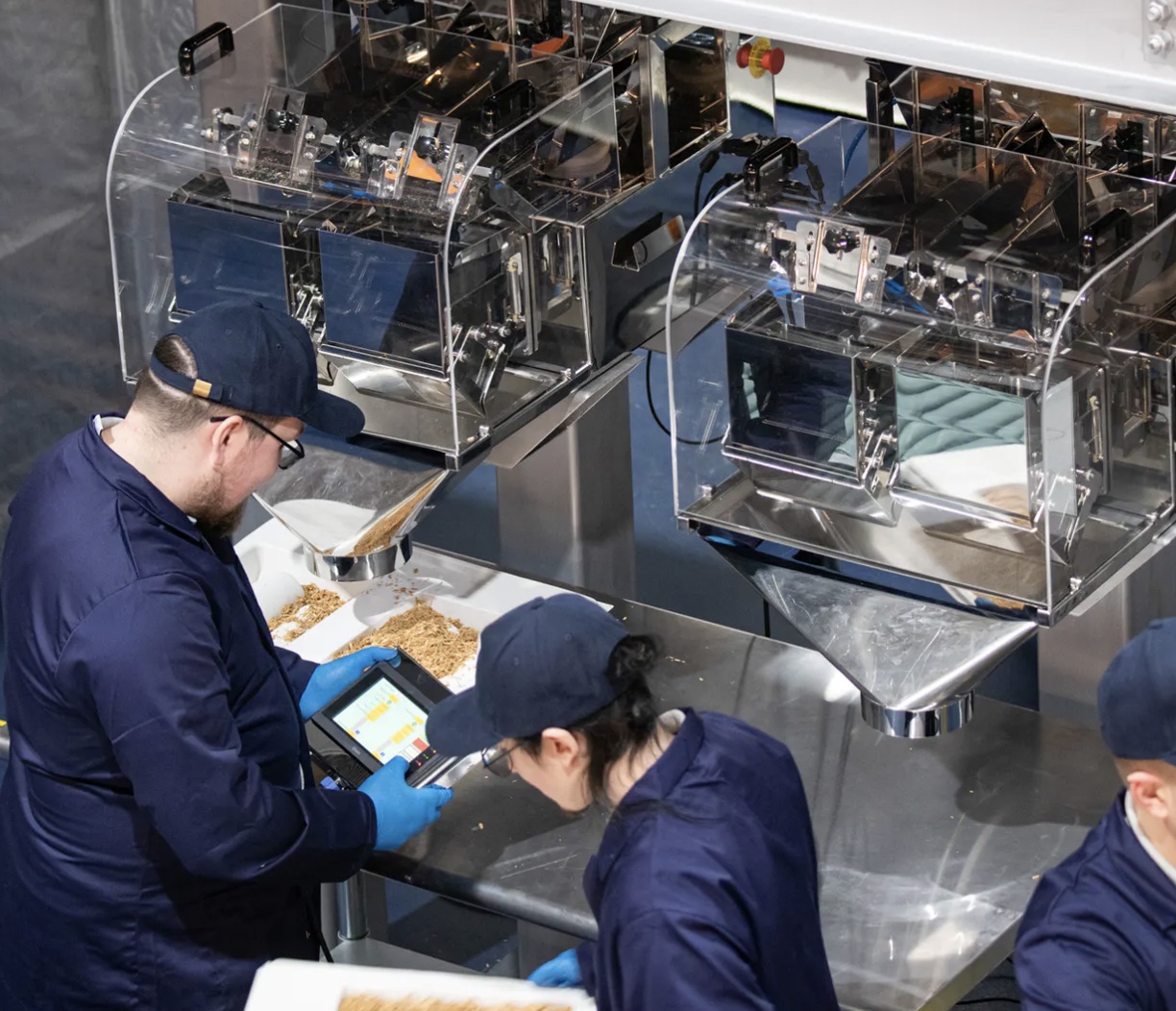 Magical Mushroom Co. mycelium to replace plastic packaging