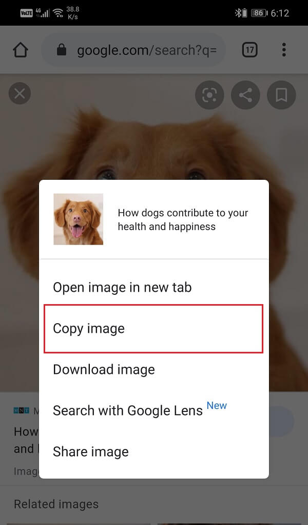 How To Copy An Image To Clipboard On Android techcult