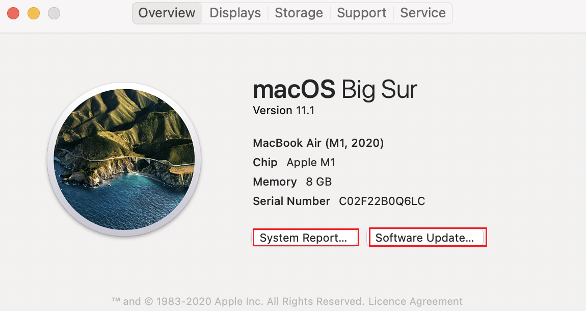 How To Boot Mac In Safe Mode techcult