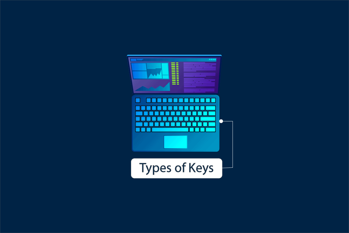 How Many Types of Keys on a Computer Keyboard TechCult