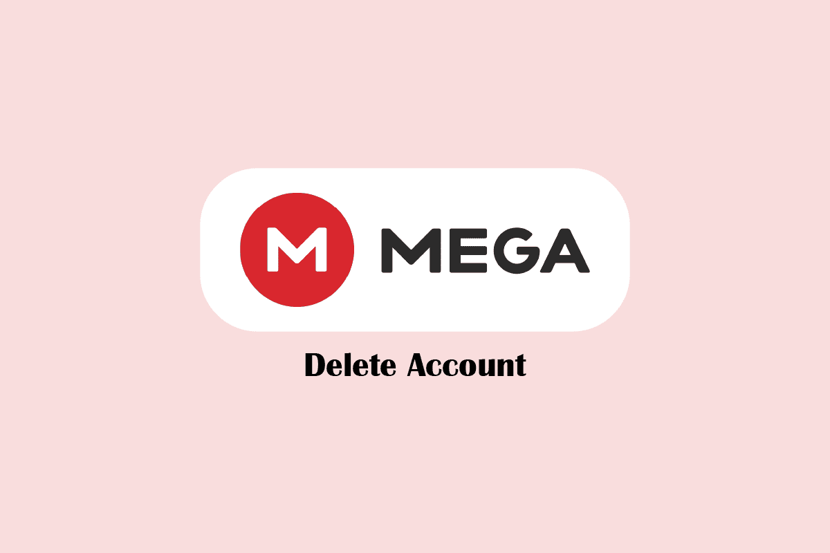 How to Delete MEGA Account TechCult