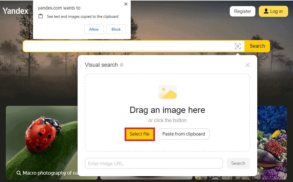 How to Find Someone on Facebook Using a Picture TechCult