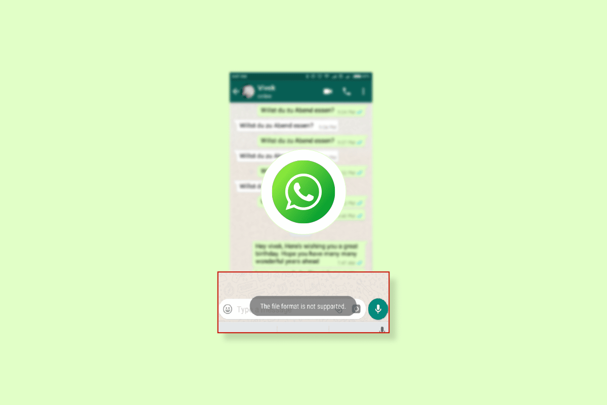 Fix WhatsApp File Format Not Supported on Android TechCult