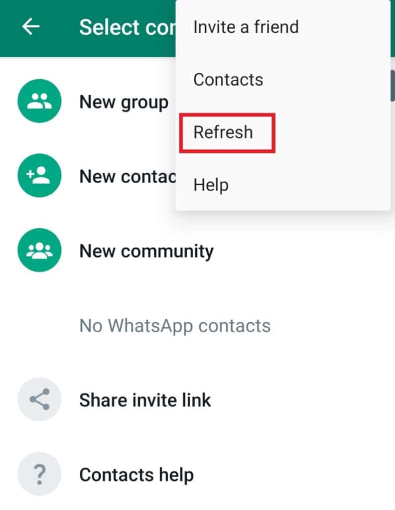 7 Ways to Fix WhatsApp Not Syncing Contacts on Android TechCult