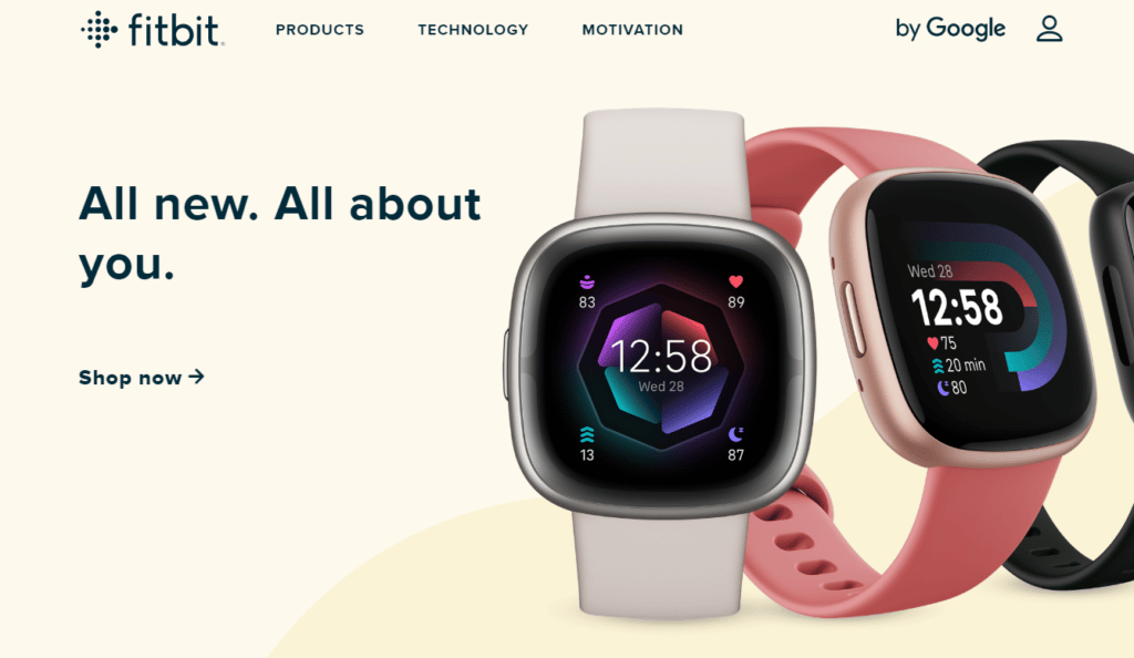 What are the Fitbit Advantages and Disadvantages? TechCult