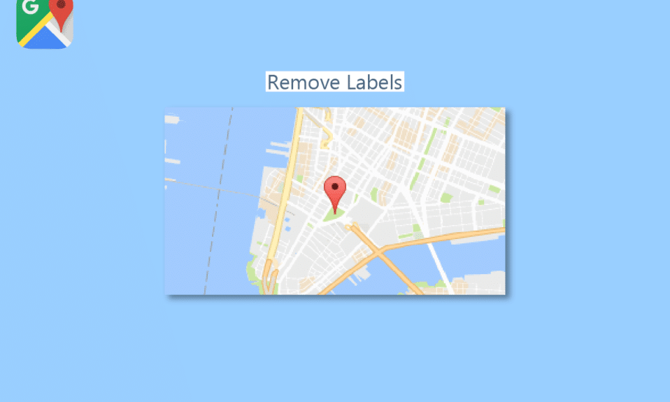 How to Remove Labels from Google Maps Map View TechCult
