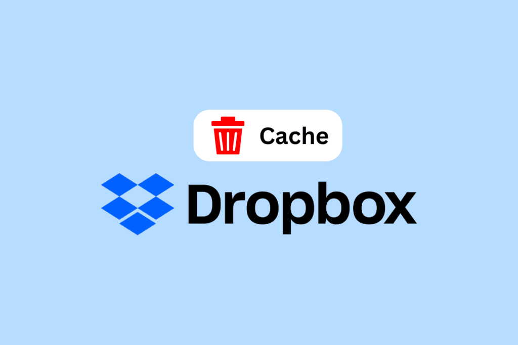 How to Clear Dropbox Cache on Windows, Mac and Linux? TechCult