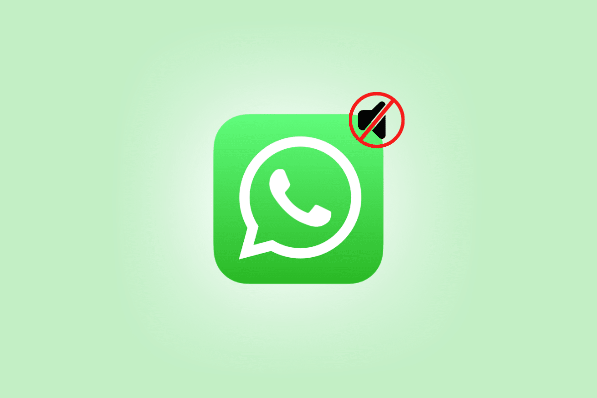 How to Know If Someone Muted You on WhatsApp TechCult