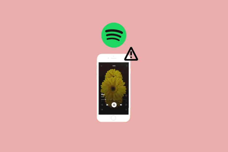 Fix Spotify Canvas Not Showing TechCult