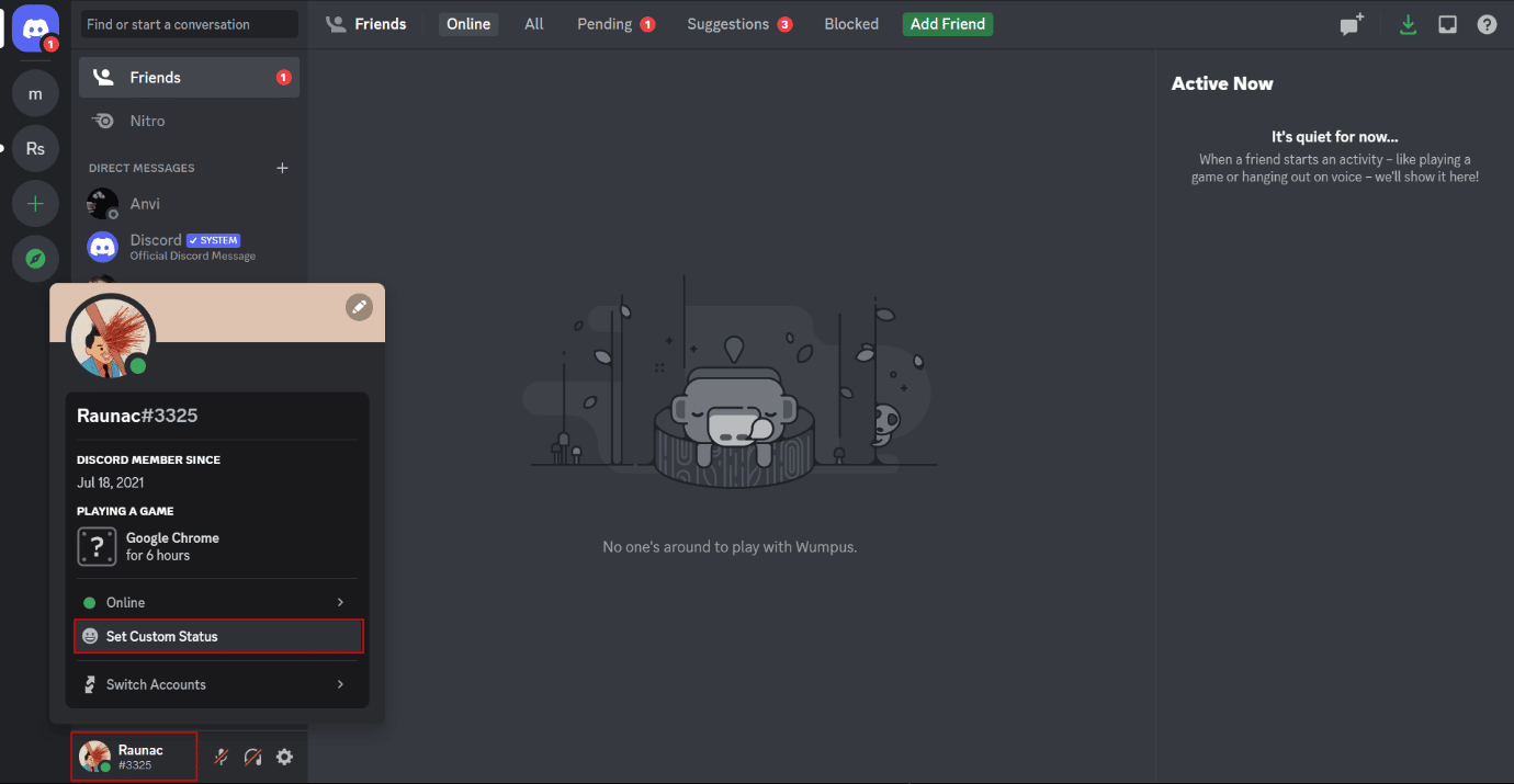 What Does Invisible Mean on Discord? TechCult