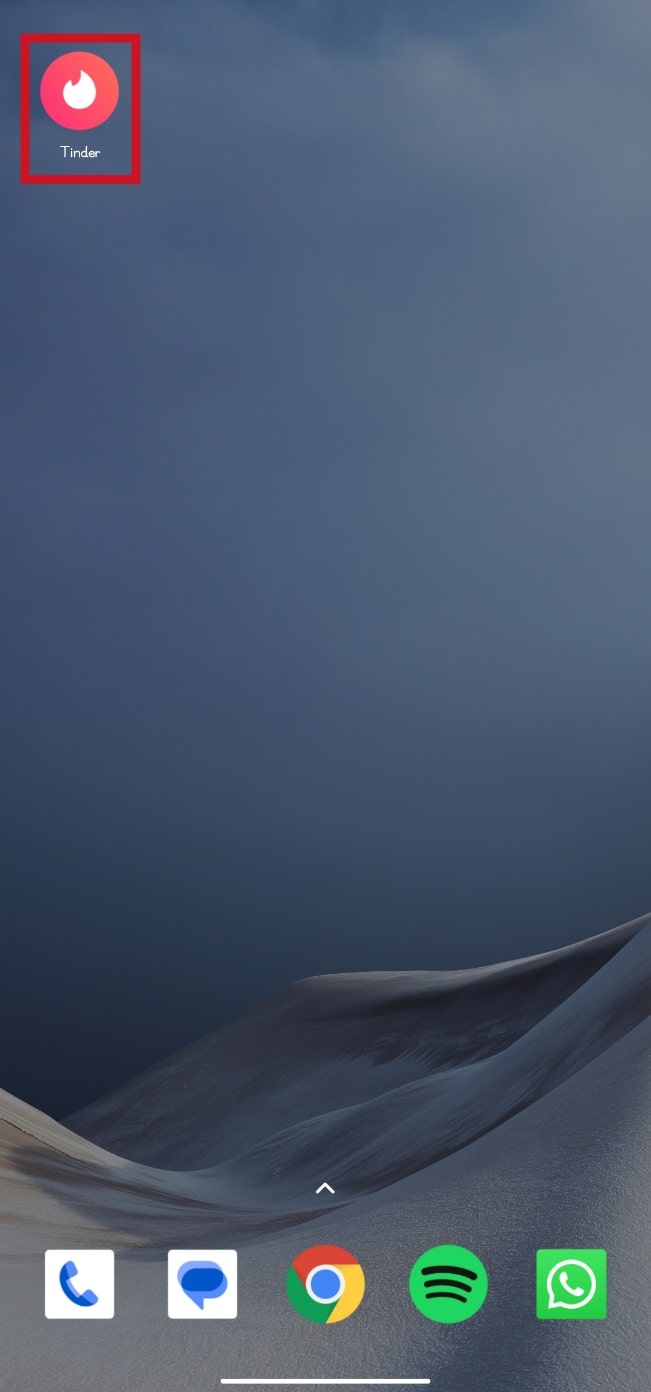 Fix Tinder Pictures Not Loading Error TechCult