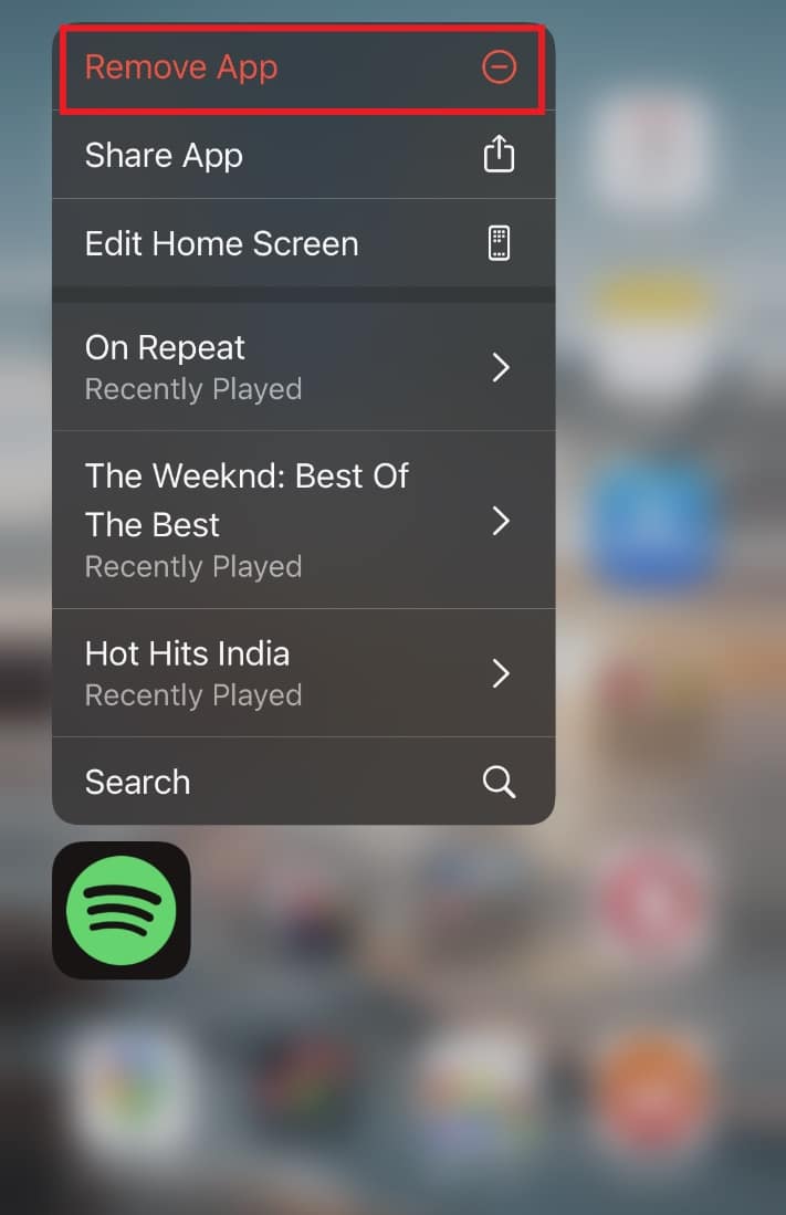 Spotify Stops Playing After 10 Seconds iPhone Fixed TechCult