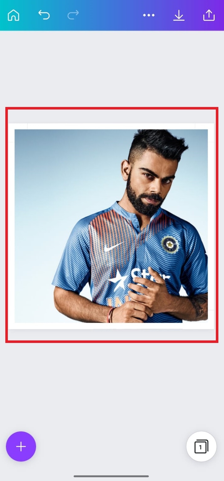 How to Fit the Whole Picture on Instagram Without Cropping TechCult