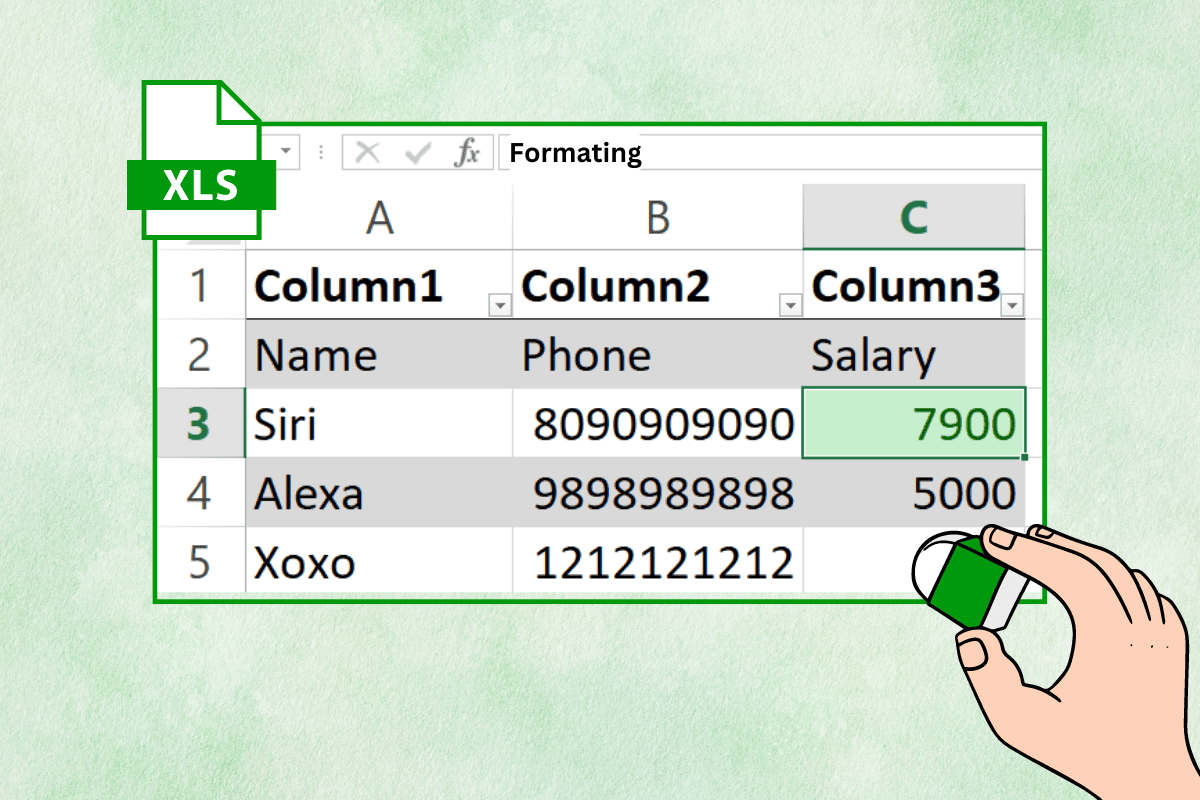How to Clear Formatting in Excel Using Shortcut TechCult