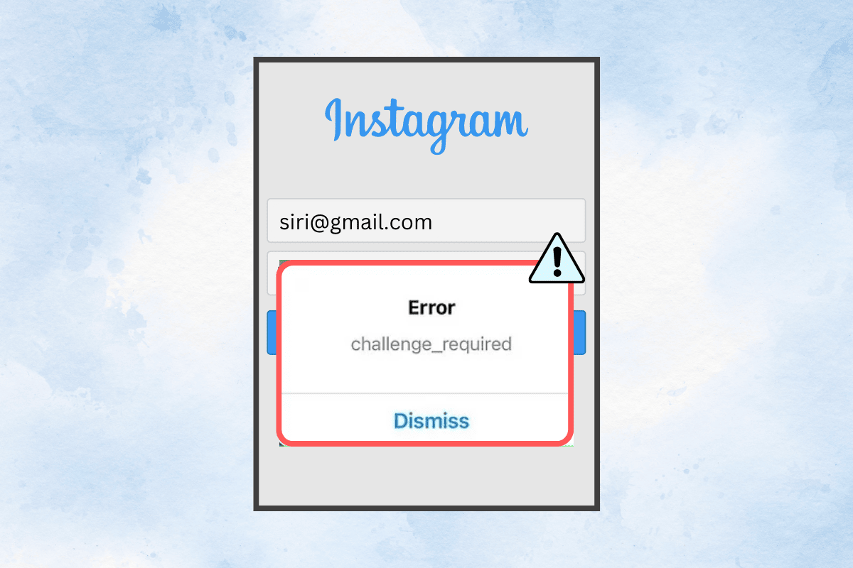 How to Fix Instagram Challenge Required Not Loading Error TechCult