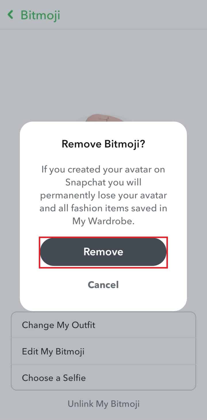 How to Change Bitmoji Gender on Snapchat TechCult