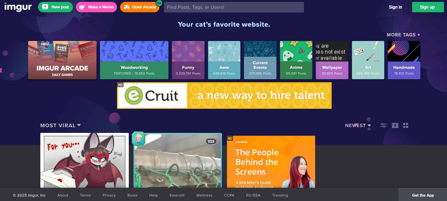 17 Best Anonymous Image Board Websites TechCult