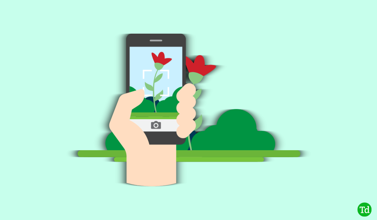 8 Best Plant Identification Apps of 2024 (FREE)