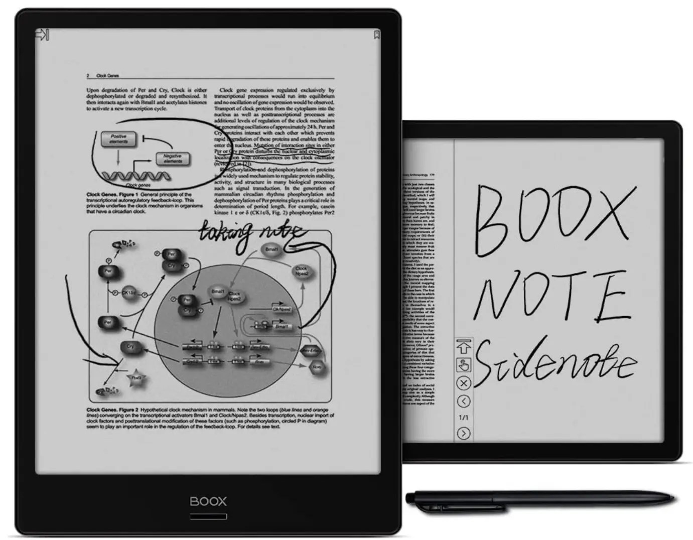 Best Tablet for reading PDF documents to Buy in 2022