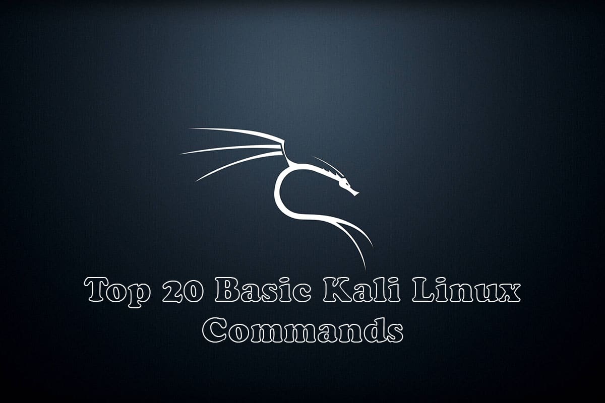 Top 20 Basic Kali Linux Commands Kali Linux 2023.1 TECH DHEE