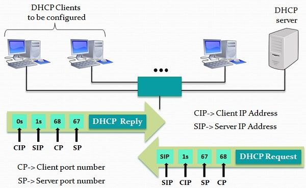 Difference Between DNS and DHCP (with Comparison Chart) Tech Differences