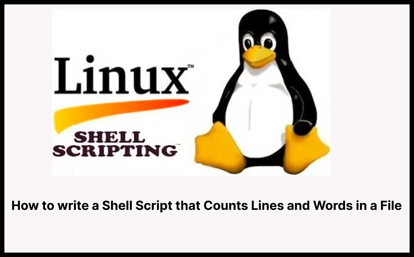 Write a Shell Script that Count Lines and Words in a File