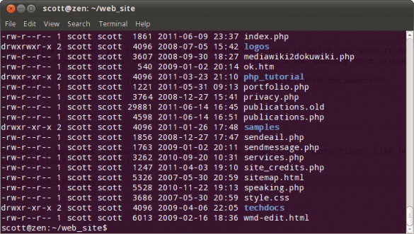 5 Basic Commands Every Linux User Should Know | Techerator
