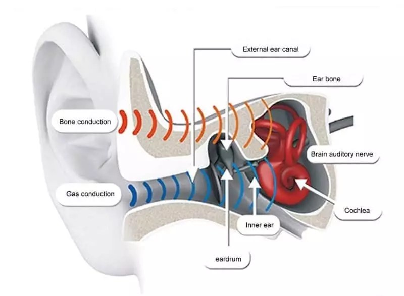 Can Bone Conduction Headphones Cause Vertigo? Tech Evaluate