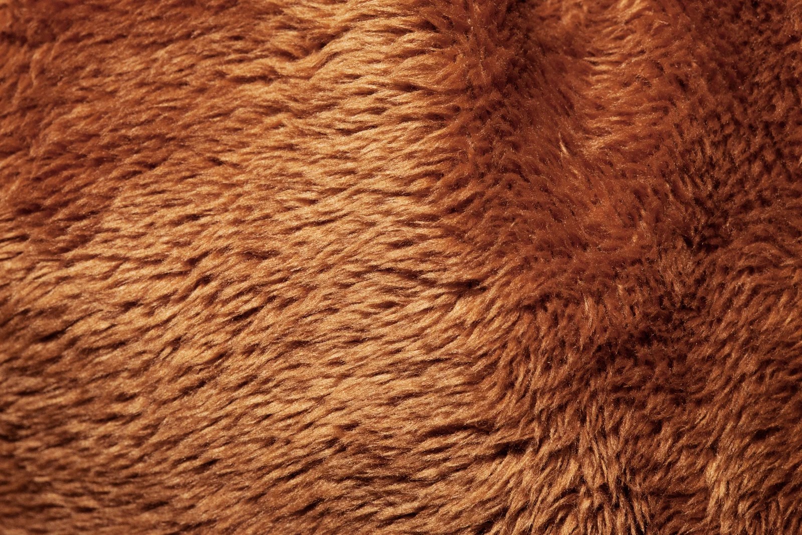 Textures Stuffed Design with Animals Skin Techfameplus