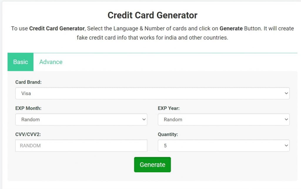 3 Best Random Credit Card Generator With Money that Works 2021 Tech