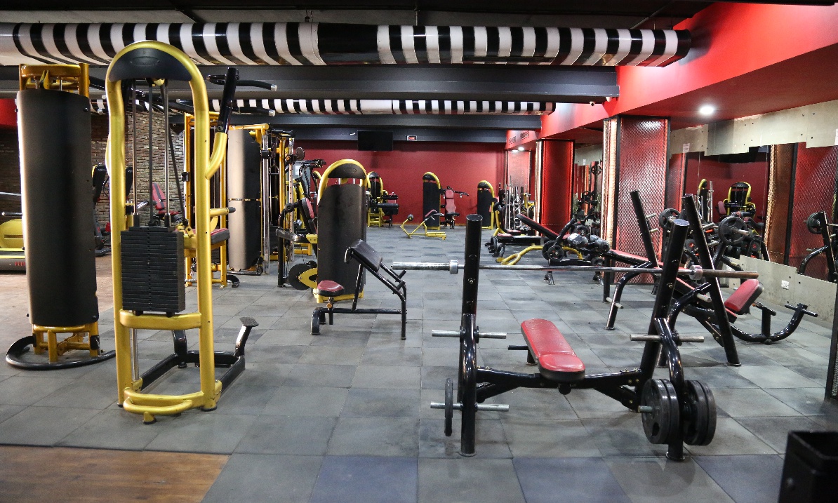 Fitness & Gym Equipment Installation Services in Mumbai TechFit