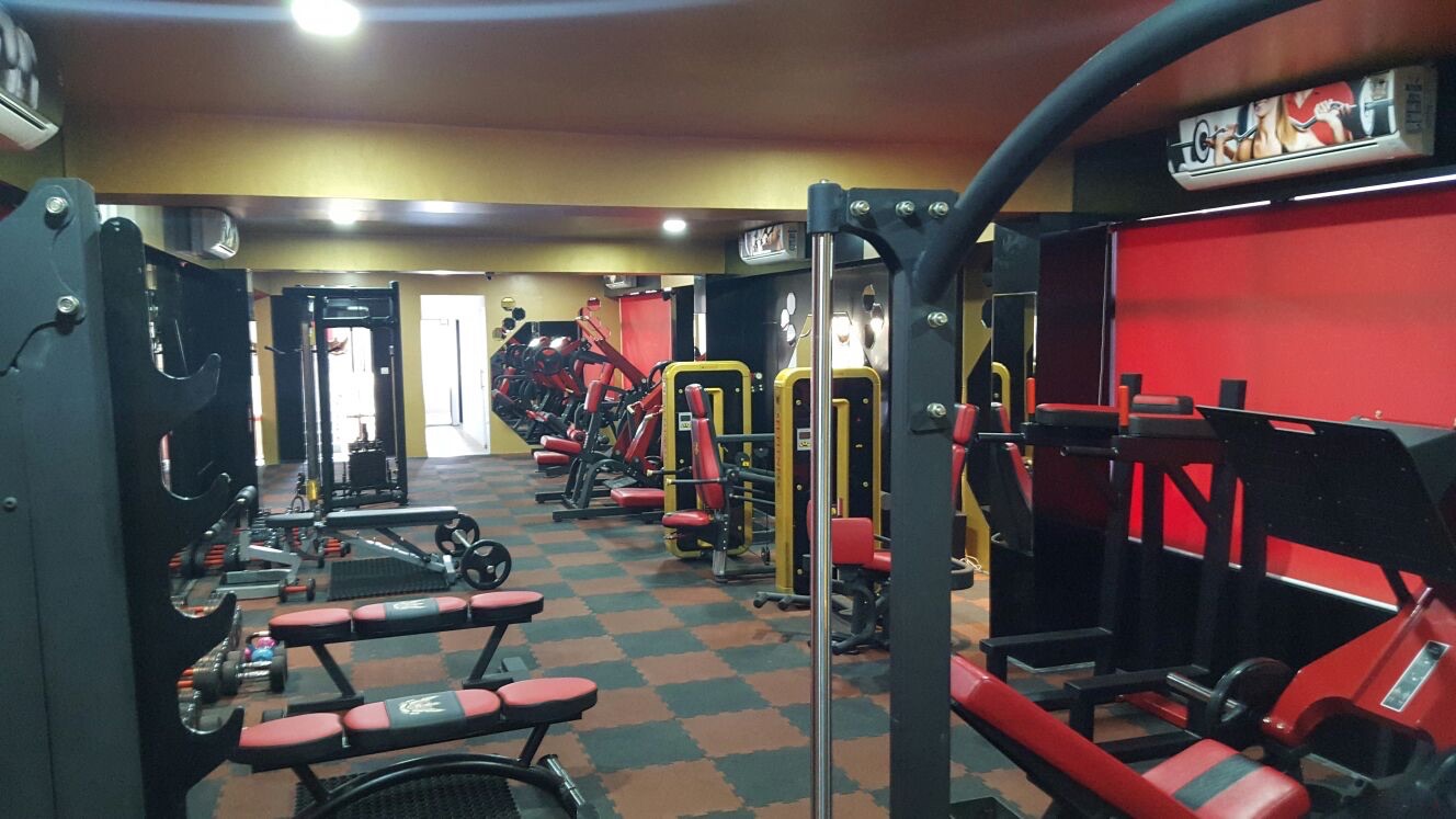 Best Fitness & Strength Training Equipment for Your Gym TechFit