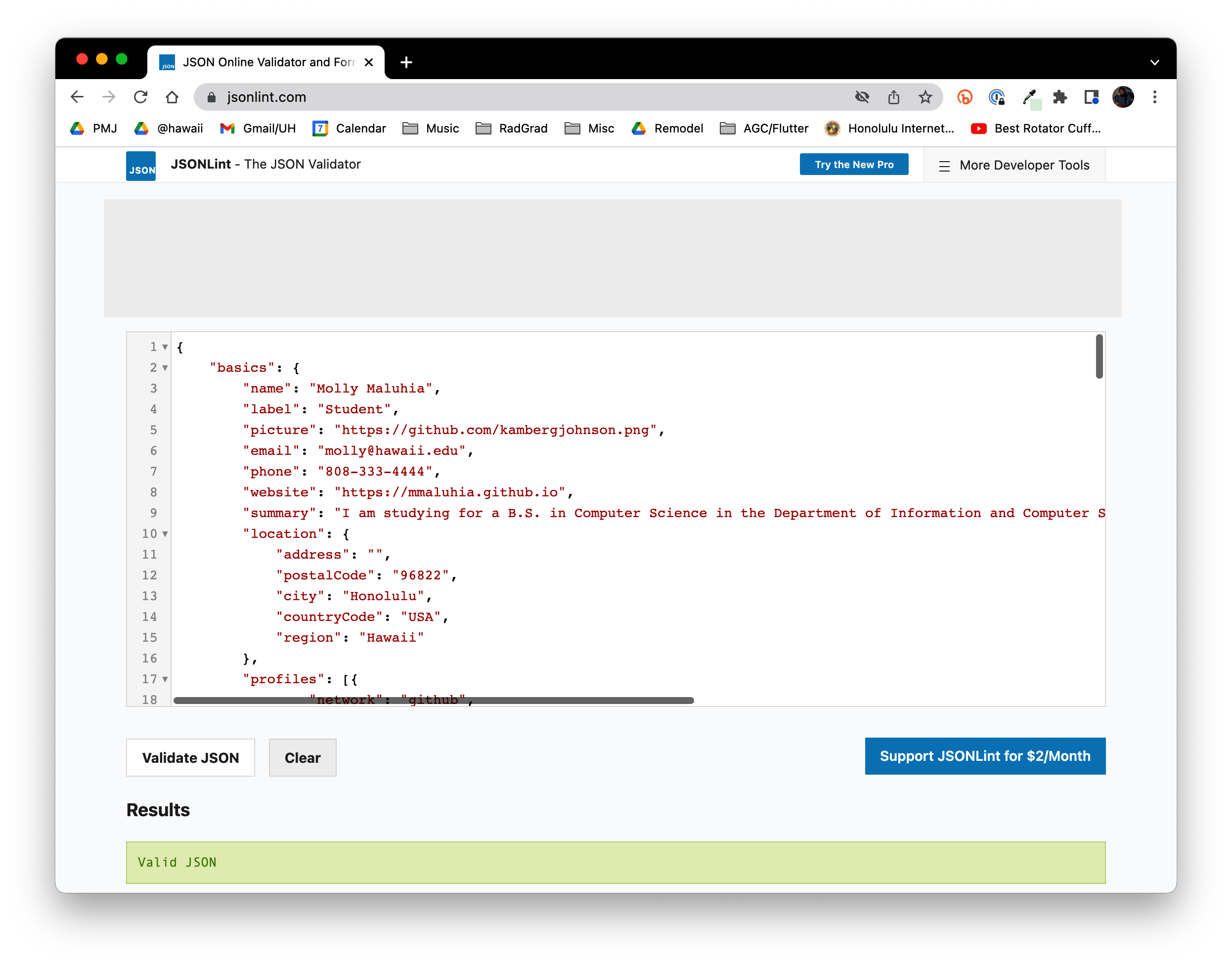Anatomy of bio.json TechFolios