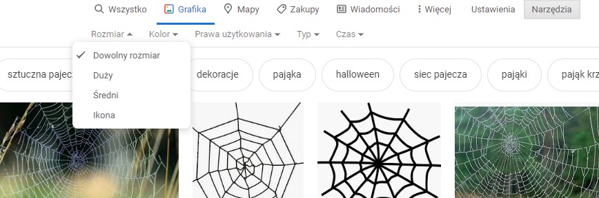 Wyszukiwanie zaawansowane obrazów i zdjęć w Grafika Google Sprawdzone