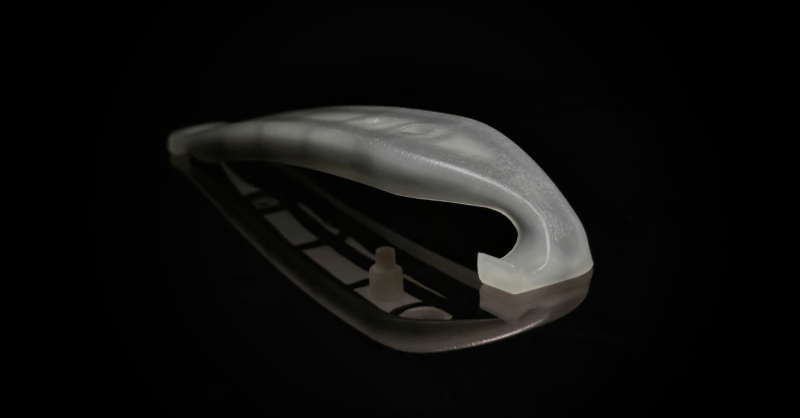 fibionic